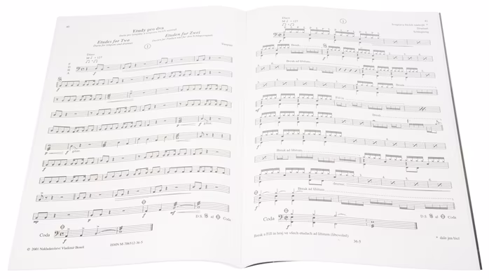 KN Bicí nástroje v orchestru - Miloš Veselý - Škola hry na bicích