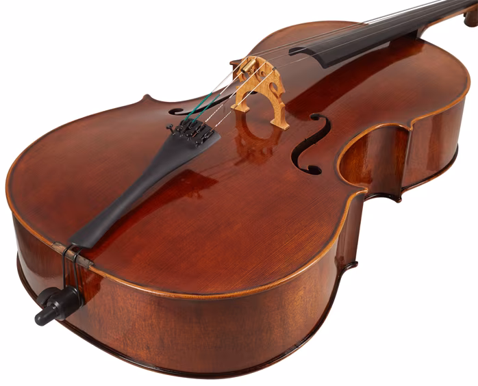 Martin W. Placht Violoncello model P - Violončelo