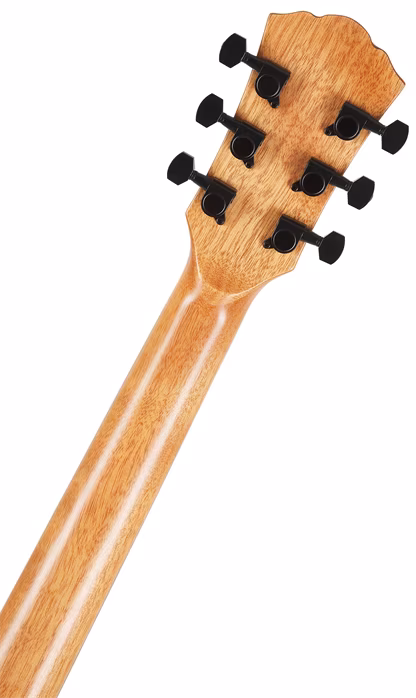 Washburn BTS9CH-D-U - Akustická gitara