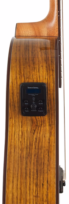 Washburn BTS9VCECH-D-U - Elektroakustická gitara