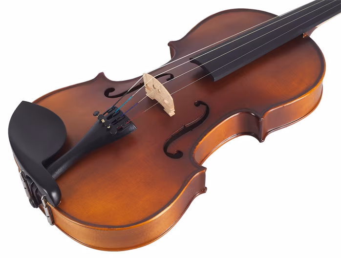 Palatino VB 310E Stradivari Model Vln 4/4 - Akustické husle