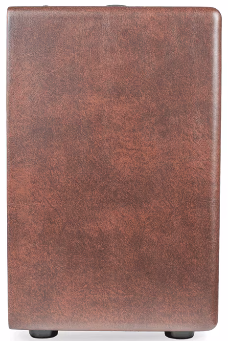 Kustom SIENNA 35 PRO - Kombo na akustické nástroje