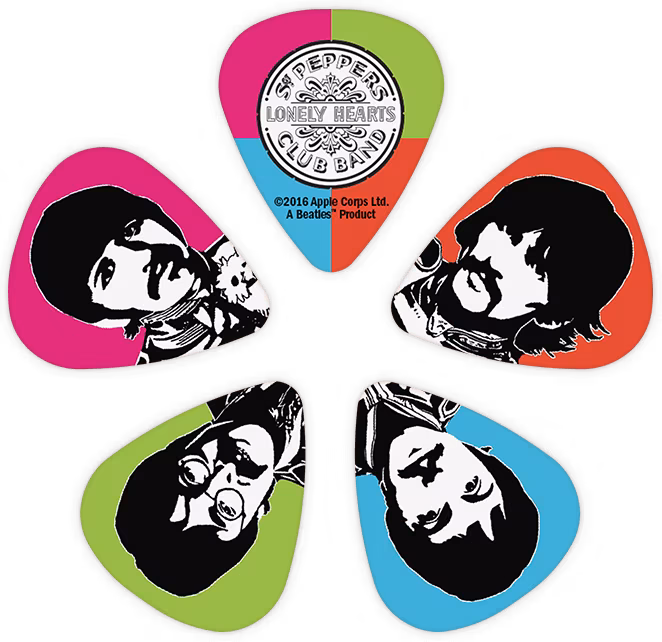 D'Addario 1CWH2-10B6 - Brnkátka