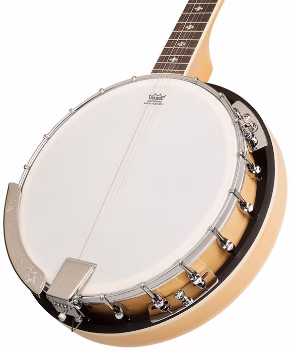 Tanglewood TWB18 M 5 - Bendžo