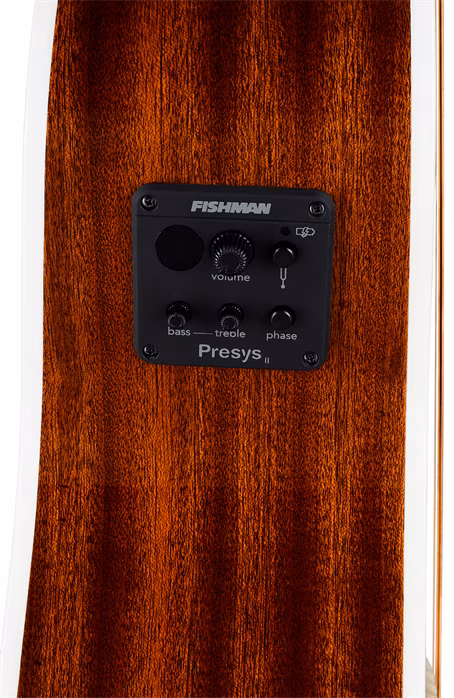 Sigma Guitars JMC-1E - Elektroakustická gitara