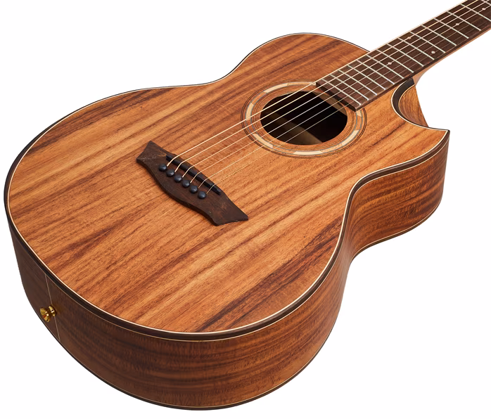 Washburn WCGM55K-D-U - Akustická gitara