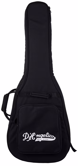 D'Angelico Double Cutaway Black Flake - Semiakustická gitara