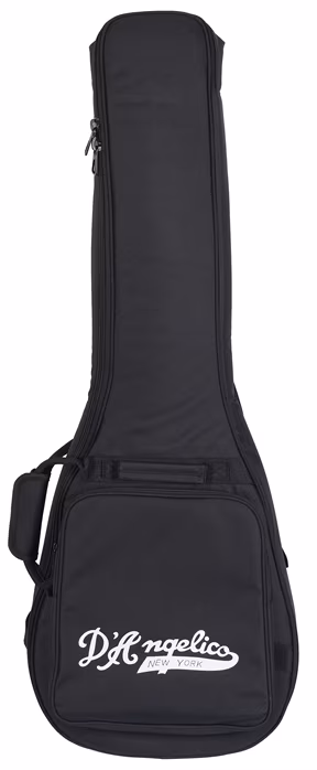 D'Angelico Double Cutaway Solid Body Black Flake - Elektrická gitara