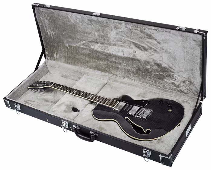 ESP LTD BW-1FMET STBLKF - Semiakustická gitara
