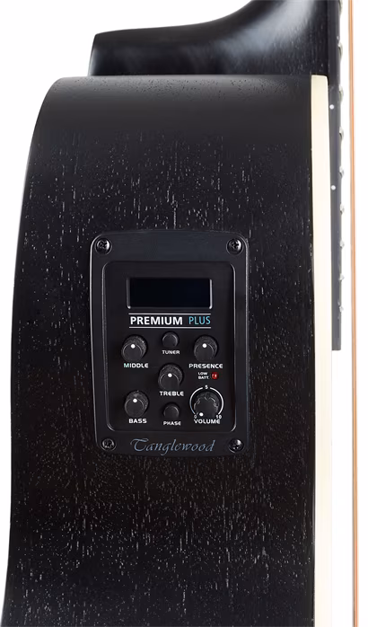 Tanglewood TWBB SFCE 12 (použité) - Dvanásťstrunová elektroakustická gitara