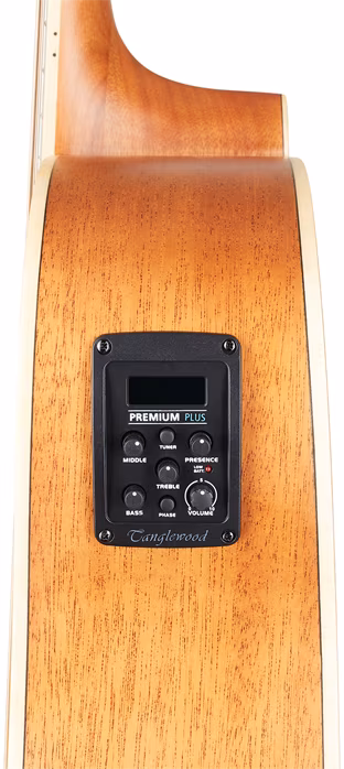 Tanglewood TW10 E LH - Ľavoruká elektroakustická gitara