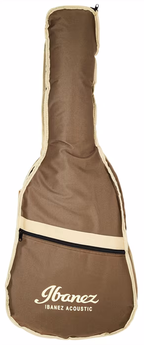 Ibanez AE245JR-OPN - Elektroakustická gitara