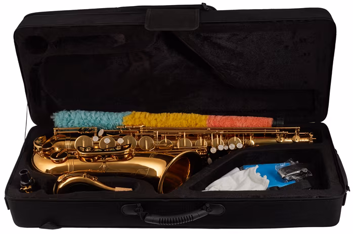 Bacio Instruments BTS-100 (použité) - Saxofón