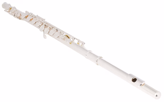 Trevor James TJ10x 3041 ESLRW - Priečna flauta