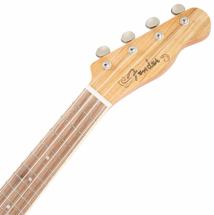 Fender Zuma Exotic Concert Ukulele WN SM - Akustické ukulele