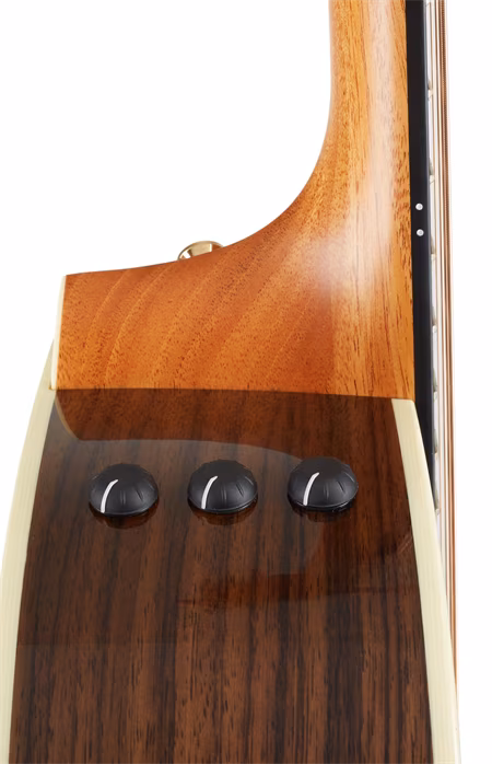 Taylor Custom 414ce SEB - Elektroakustická gitara