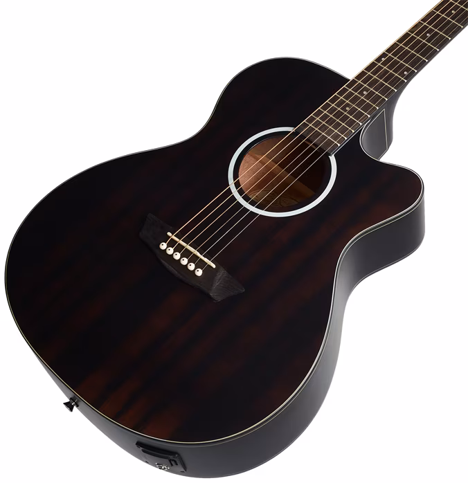 Washburn DFEACE-U - Elektroakustická gitara