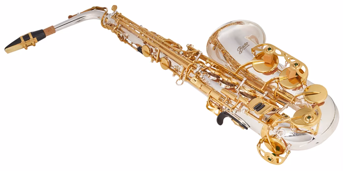 Bacio Instruments BAS-100SG (poškodené) - Saxofón