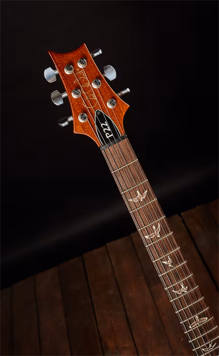 PRS 2012 P22 Pattern Regular - Elektrická gitara