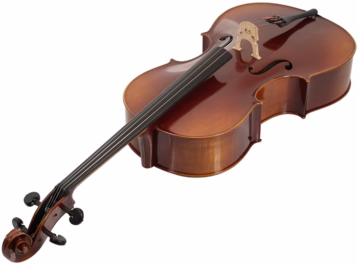 Bacio Instruments Professional Cello (AC300) 4/4 (rozbalené) - Violončelo