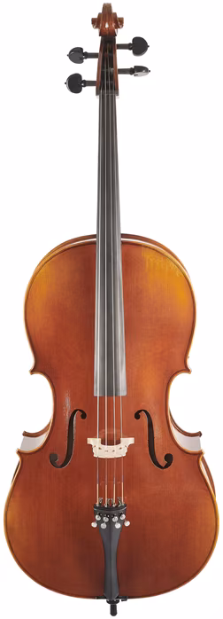 Bacio Instruments Professional Cello Antique (ACA300) 4/4 - Violončelo