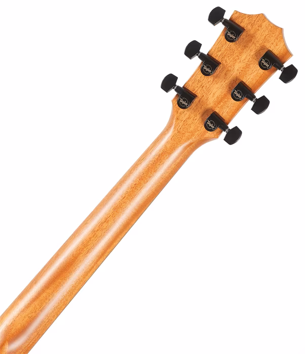 Taylor 414ce-R LTD Blacktop - Elektroakustická gitara