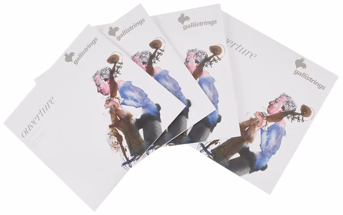 Galli OV81-S Overture Bass SYC 3/4 - Kontrabasové struny