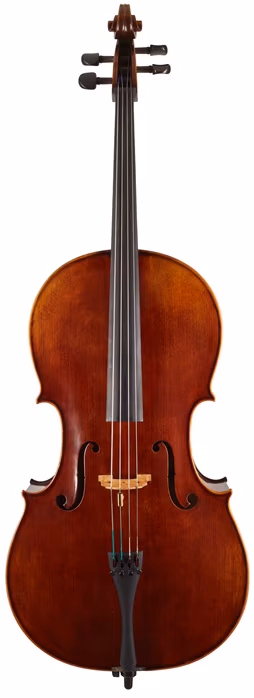 Martin W. Placht Violoncello model P - Violončelo