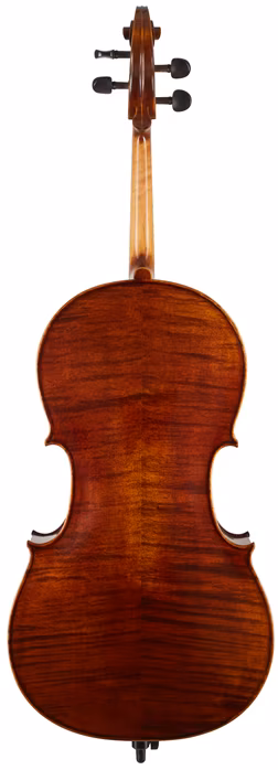 Martin W. Placht Violoncello model P - Violončelo