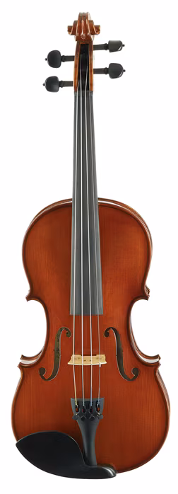Martin W. Placht Stradivari model S - Akustické husle