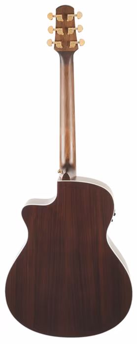 Walden WAG630CEW - Elektroakustická gitara