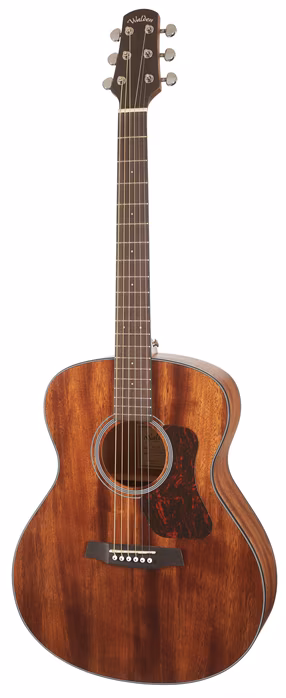 Walden WAG551EW - Elektroakustická gitara