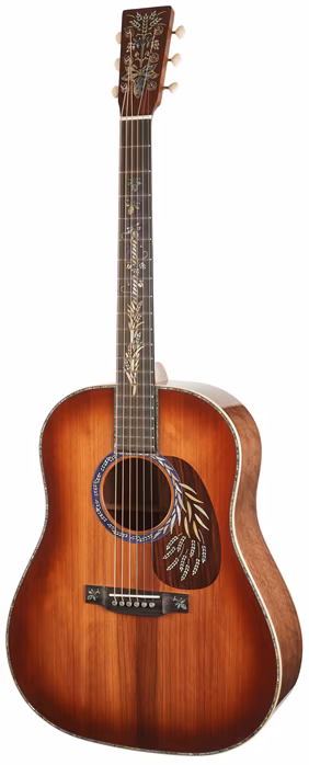 Martin DSS Hops & Barley - Akustická gitara