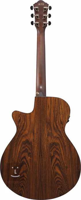 Ibanez AEG550-BK - Elektroakustická gitara
