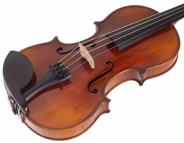 Vienna Violin Violine Trieste Set 4/4 - Akustické husle