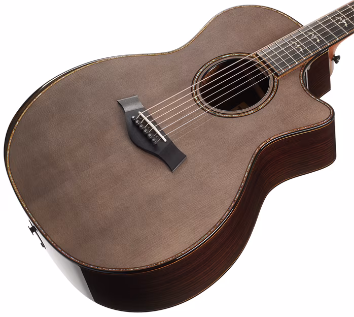 Taylor Custom GA C14ce B3020 - Elektroakustická gitara