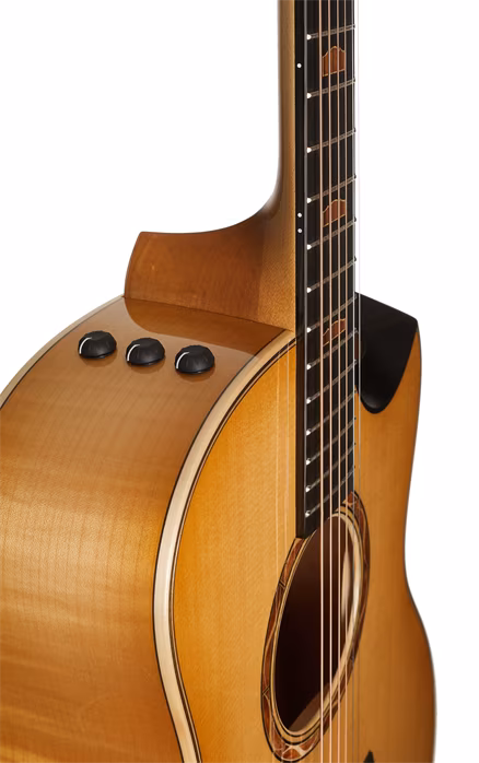 Taylor Custom GS C16ce B3017 - Elektroakustická gitara