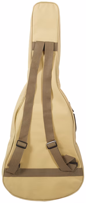 Tanglewood TWR2 T - Cestovná akustická gitara