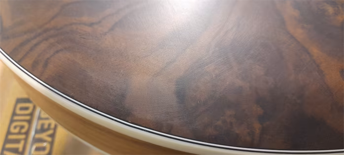 Ortega OBJ550W-SNT (použité) - Bendžo