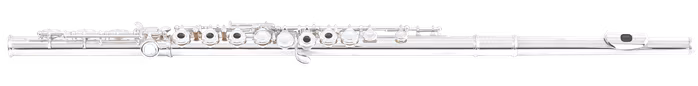 Di Zhao 501 RBE - Priečna flauta