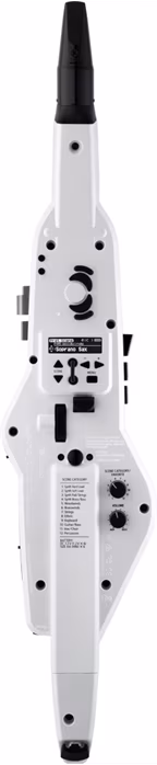 Roland AE-20W - Dychový syntezátor, syntetizér