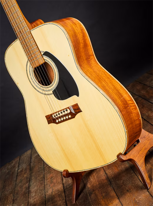 Meipet 2003 D - Elektroakustická gitara