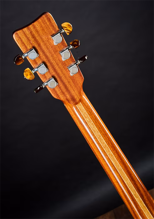 Meipet 2003 D - Elektroakustická gitara