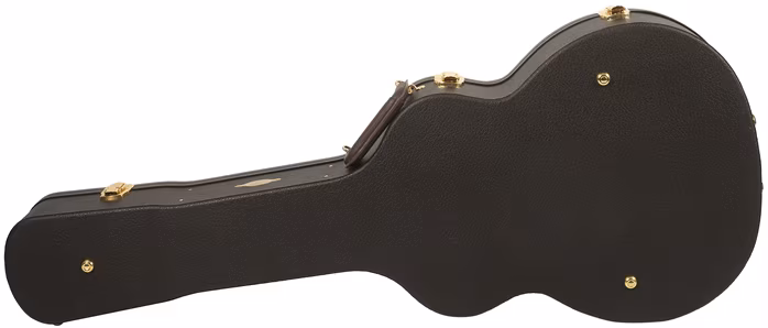 Taylor Custom GA C24ce B3003 - Elektroakustická gitara