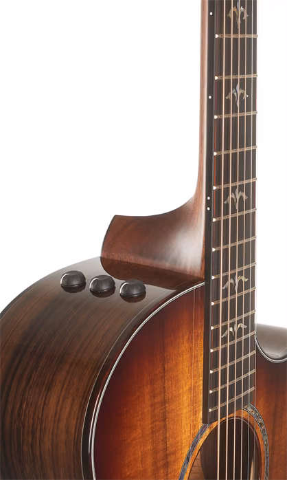 Taylor Custom GA C24ce B3003 - Elektroakustická gitara