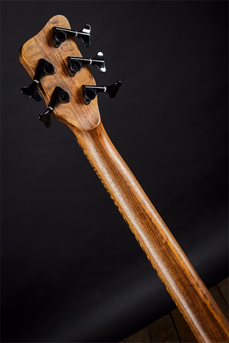 Warwick 2007 Dolphin SN TCS Mark I. - Elektrická basgitara