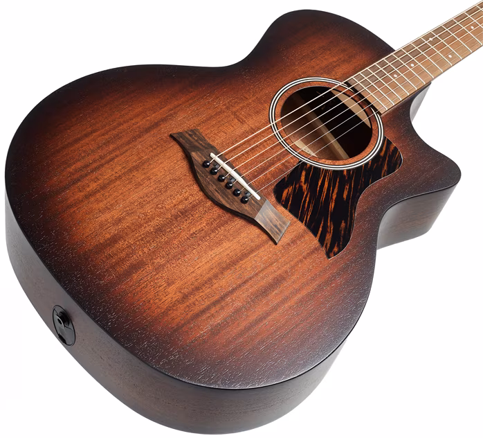 Taylor AD24ce - Elektroakustická gitara