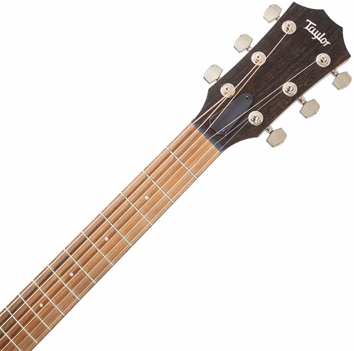 Taylor AD24ce - Elektroakustická gitara