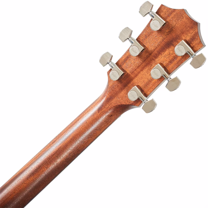 Taylor AD24ce - Elektroakustická gitara