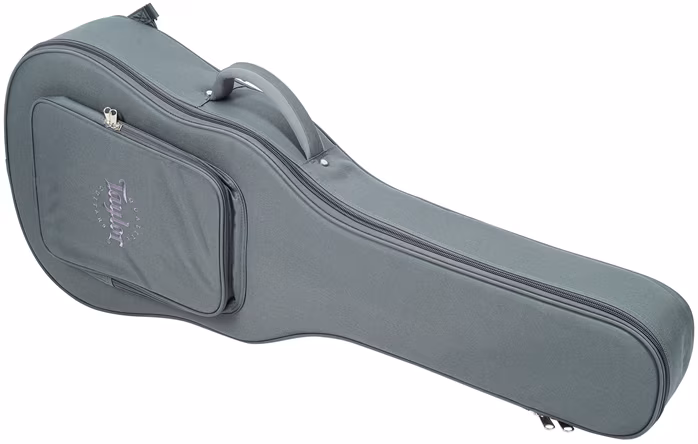 Taylor AD24ce - Elektroakustická gitara